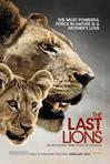最后的狮子 The Last Lions/