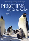 企鹅群里有特务 Penguins: Spy in the Huddle/
