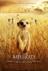 蒙哥 The Meerkats/