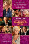 涉外大饭店2 The Second Best Exotic Marigold Hotel/