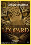 国家地理：豹的眼睛 National Geographic: Eye of the Leopard/