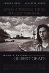 不一样的天空 What's Eating Gilbert Grape/