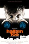 在屋顶上流浪 Hallam Foe/