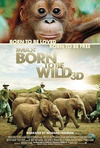 天生狂野 Born to Be Wild/