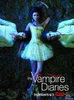 吸血鬼日记  第二季 The Vampire Diaries Season 2/