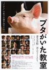 小猪教室 ブタがいた教室/