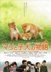 爱犬的奇迹 マリと子犬の物語/