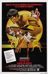 死亡游戏 Game of Death/