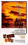 搜索者 The Searchers/