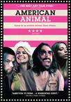 美国动物 American Animal/