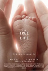 生命之树 The Tree of Life/