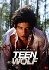 少狼 第一季 Teen Wolf Season 1/