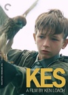小孩与鹰 Kes/