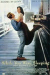 二见钟情 While You Were Sleeping/