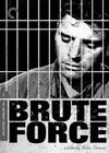 血溅虎头门 Brute Force/