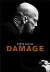 格斗场 Damage/