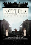 帕利路拉某处 Undeva la Palilula/