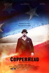 南北之殇 Copperhead/