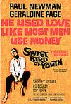 春浓满楼情痴狂 Sweet Bird of Youth/