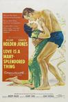 生死恋 Love Is a Many-Splendored Thing/