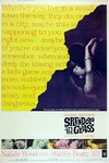 天涯何处觅知音 Splendor in the Grass/