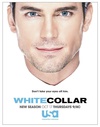 妙警贼探 第五季 White Collar Season 5/