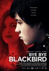 黑鸦的救赎 Blackbird/