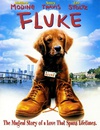 再世人狗缘 Fluke/