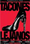 情迷高跟鞋 Tacones lejanos/