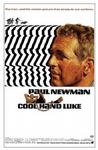 铁窗喋血 Cool Hand Luke/