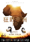 狂野非洲 African Safari/