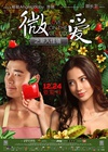 微爱之渐入佳境/