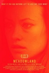 小镇迷踪 Meadowland/