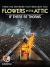 如果有荆棘 if there be thorns/