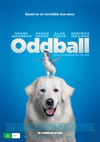 企鹅小守护 Oddball/