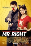 真命天子 Mr. Right/