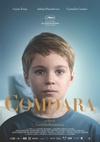 宝藏 Comoara/