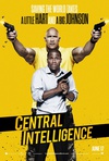 乌龙特工 Central Intelligence/