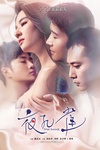 夜孔雀/