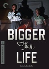 高于生活 Bigger Than Life/