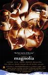 木兰花 Magnolia/