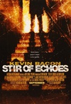 灵异骇客 Stir of Echoes/