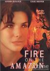 亚马逊之火 Fire on the Amazon (V)/