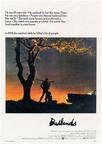 恶土 Badlands/