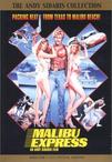 马里布激情快递 Malibu Express/