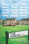 树荫 The Arbor/